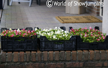 Maikel also has green fingers!  