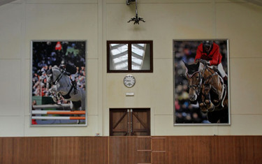 The beautiful indoor.