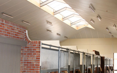 The stable is very airy with lots of natural light.