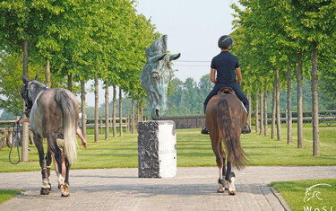 © World of Showjumping