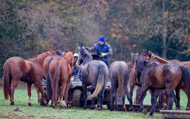 Photo © Eli Birch Boots and Hooves Photography