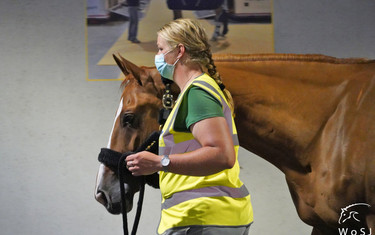 Photo © Nanna Nieminen for World of Showjumping