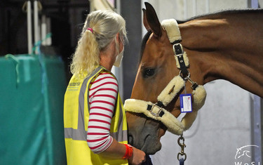 Photo © Nanna Nieminen for World of Showjumping