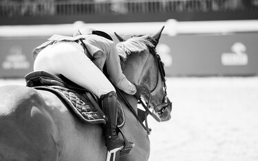 Photo © Oliwia Chmielewska / http://chmielewskafoto.pl/