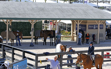 Winter Equestrian Festival
