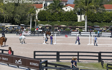 Winter Equestrian Festival