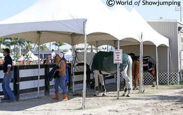 Winter Equestrian Festival