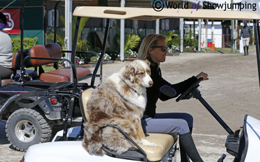Winter Equestrian Festival