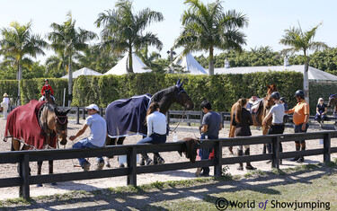 Winter Equestrian Festival
