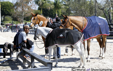 Winter Equestrian Festival