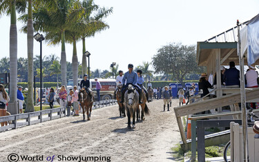 Winter Equestrian Festival