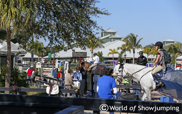 Winter Equestrian Festival
