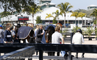 Winter Equestrian Festival