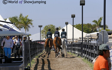 Winter Equestrian Festival
