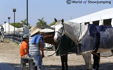 Winter Equestrian Festival