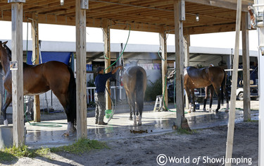Winter Equestrian Festival