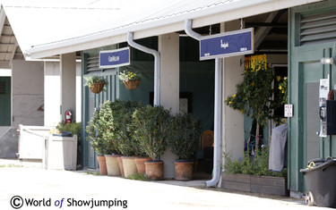Winter Equestrian Festival