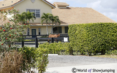 Winter Equestrian Festival