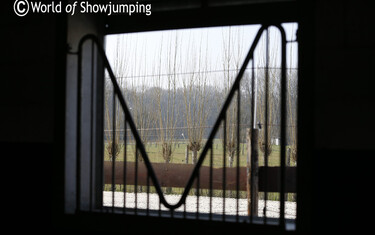 A room with a view.