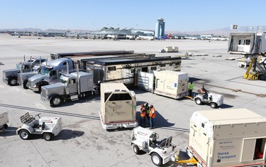 Las Vegas arrival