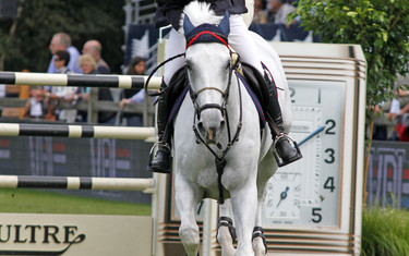 Vdl Groep Sapphire B