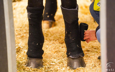 Photo © Nanna Nieminen/WoSJ.