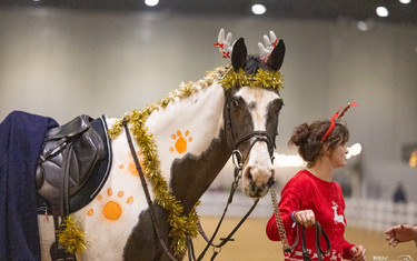 London, General, Fancy Dress
London International Horse Show
2023-12-17
© Jenny Abrahamsson/World of Showjumping