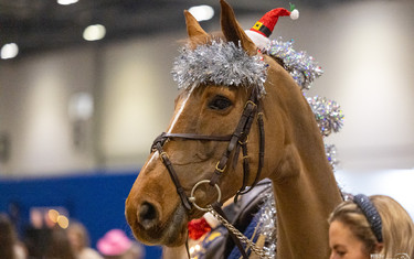 London, General, Fancy Dress
London International Horse Show
2023-12-17
© Jenny Abrahamsson/World of Showjumping