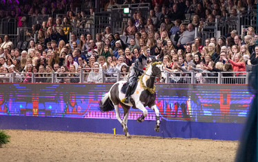 Matt Sampson, Matthew Sampson
London International Horse Show
2023-12-17
© Jenny Abrahamsson/World of Showjumping