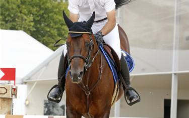 Aymeric de Ponnat with Armitages Boy 
