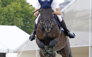 Daniel Deusser with Pironella