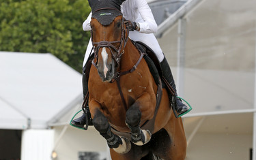 Elodie Laborde with Citizenguard Cadjanine Z