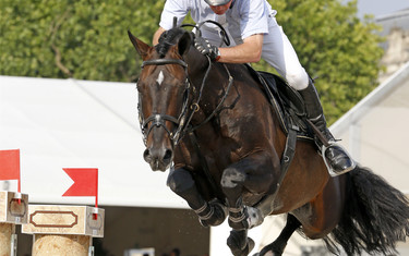 John Whitaker with Argento