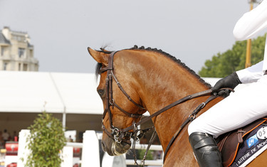 Julien Epaillard with Cristallo A LM