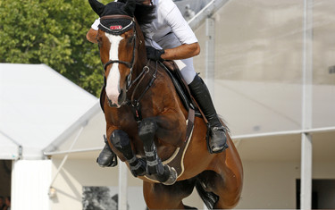 Karim Elzoghby with Amelia