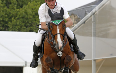 Ludger Beerbaum with For Sale