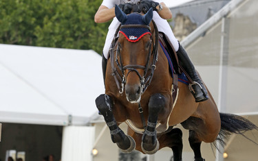 Maikel van der Vleuten with Vdl Groep Verdi Tn NOP