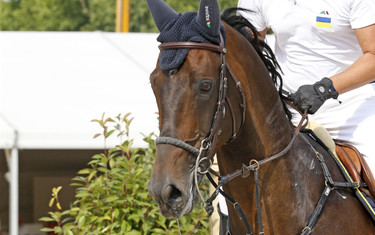 Oleksandr Onyshchenko with Valentino Velvet
