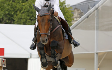 Patrice Delaveau with Lacrimoso 3 HDC