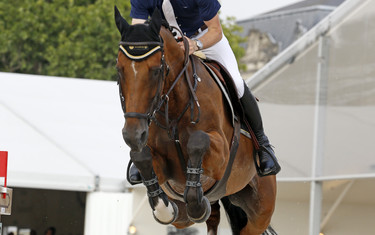 Scott Brash with Hello Sanctos