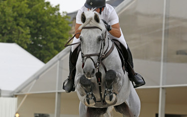 Sergio Alvarez Moya with Carlo 273