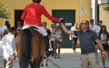 Photo (c) CSIO Budapest