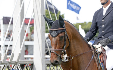 Edwin Smits with Dandlego BZ