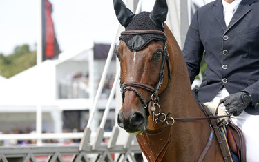 Edwin Smits with Dandlego BZ