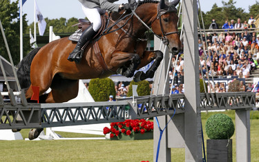 Henrik von Eckermann with Toulouse 66