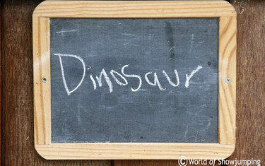 Curtis is the Dinosaur in Lucy's stable!