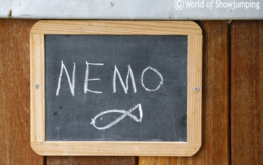 Nemo has rightly gotten a little fish added!