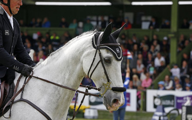 Gerco Schröder with Glock's Cognac Champblanc