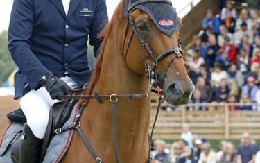 Royne Zetterman with Echo de Laubry 