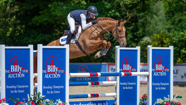 The Billy Stud Summer Auction – Wednesday 14th August